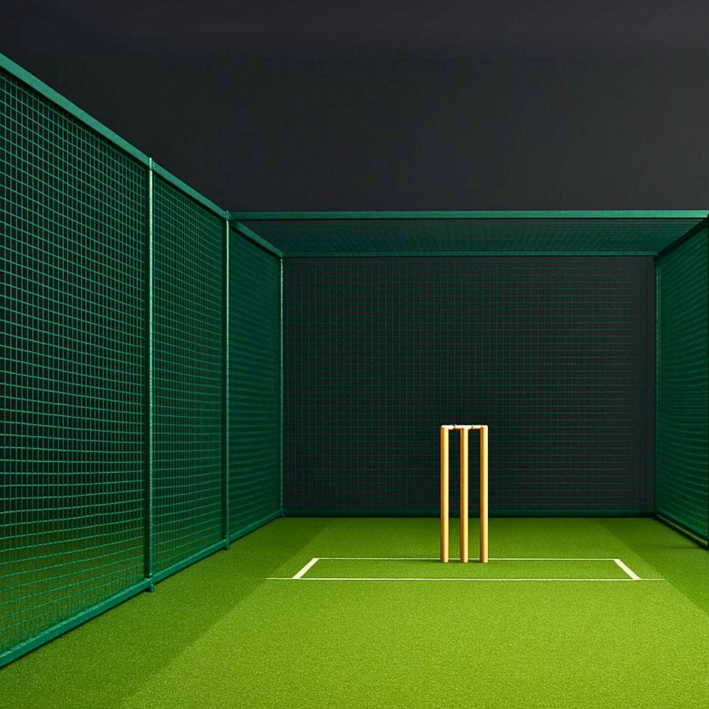 Cricket practice nets with bowling machine by Prime Distributors Chandigarh.